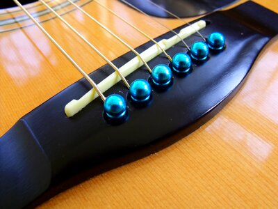 Strings saddle music photo