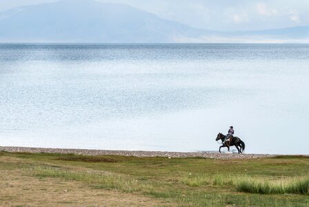 Rider on the shore photo