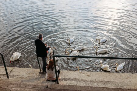 Businessman feeding recreation