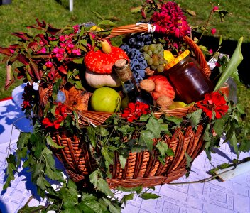 Basket vegetables autumn
