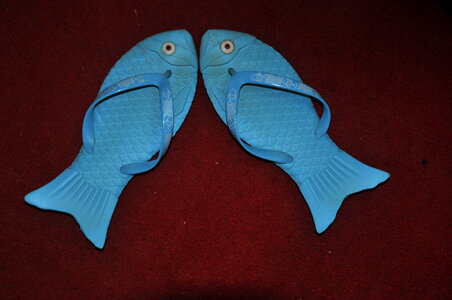 Fish Slippers photo