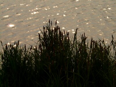 Water lake bank