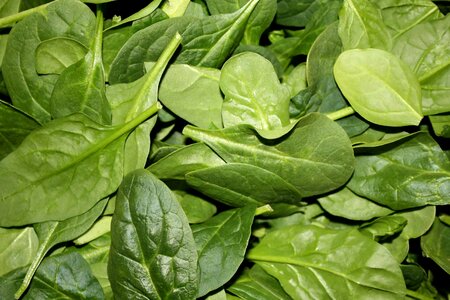 Fresh produce leaf