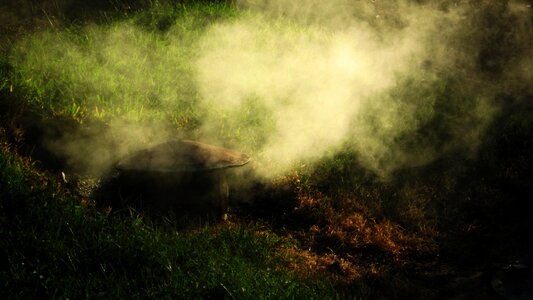 Pollution nature background photo
