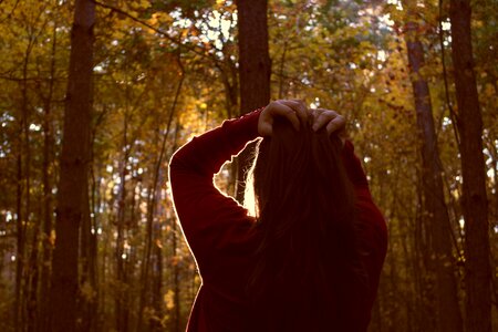 Sun forest hair