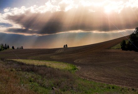 Grass soil countryside photo