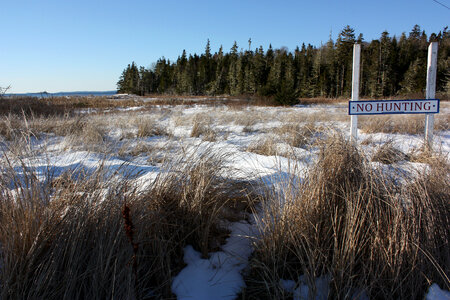 Snowy landscape in the winter in Nova Scotia