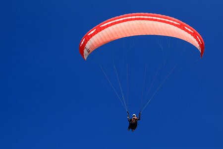 Flight fly flying
