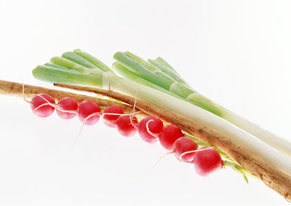 Bunch of fresh green onion and radishes photo