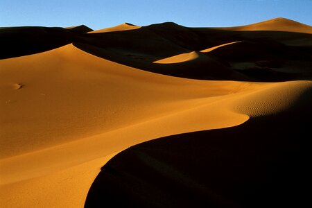 Sand dunes at sunset in the Sahara Desert.