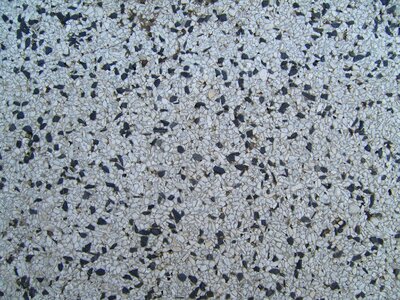 Surface  