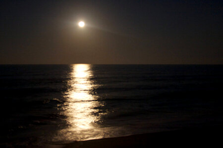 Moon over Archie Carr National Wildlife Refuge