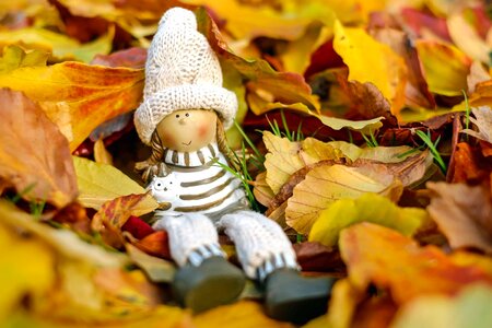 Autumn autumn season decoration