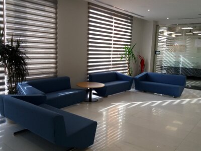 Interior - Blue Sofa photo