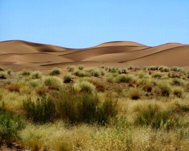 Landscape africa desert photo