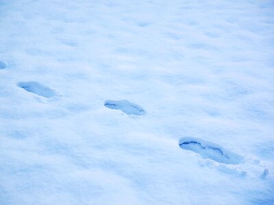 Footprints snow snow tramp
