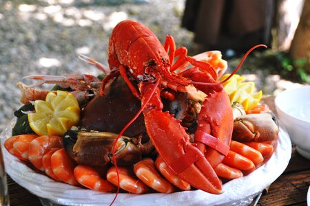 Seafood Platter photo