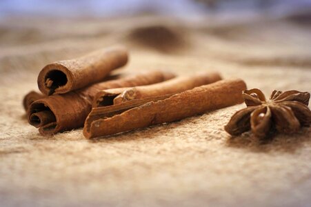 Beautiful Photo cinnamon food photo