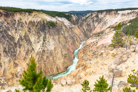 Grand Canyon of the Yellowstone photo