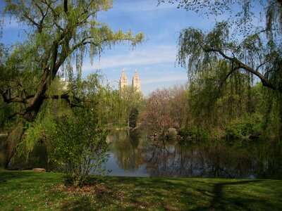 Nyc pond skyline photo