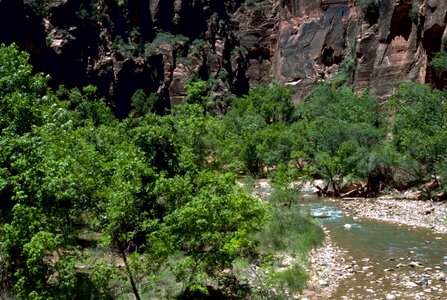Camp domestic national park