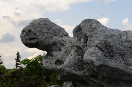 Bear Rocks - Dolly Sods WV
