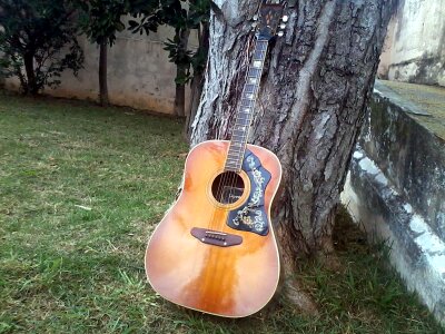 Acoustic music instrument photo