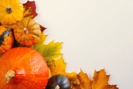 2 Pumpkins on white background with the autumn leaves photo