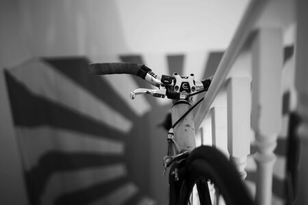 Black white design