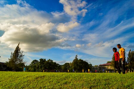 Park grass sky