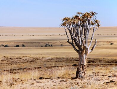 Namibia africa the skyline photo