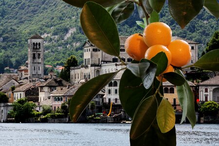 Oranges lago maggiore italy