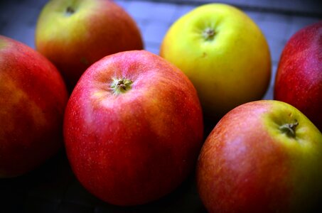 Beautiful Photo diet food