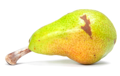 Pear photo