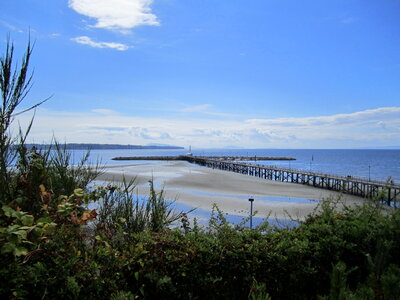 wooden pier reaching out to the sea photo