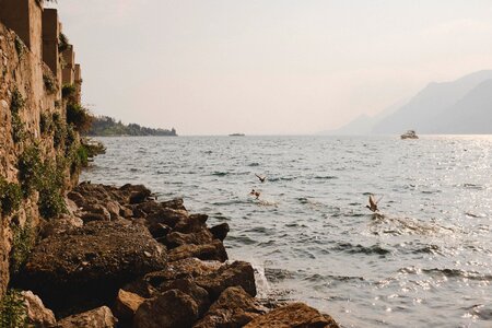 Ducks Take Flight From Lake