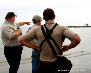 North Island inspection