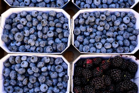 Antioxidant berry blackberry