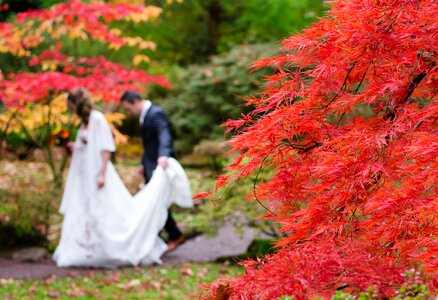 Autumn dress suit