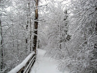 Oberholtzer Trail