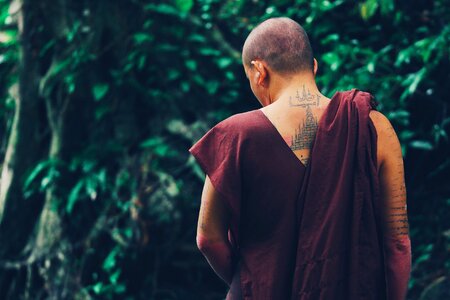 Buddhist Monk Contemplating photo