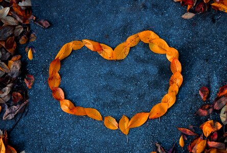 Orange autumn contrast