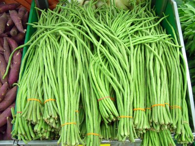 Snake bean vegetable legume photo