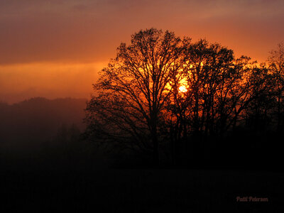 Sunset and dusk behind the tree