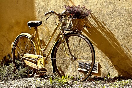 Yellow bicycle on leaf wall background photo