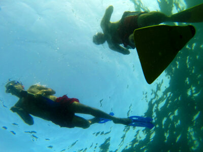 3 Snorkelling in fujairah snoopy island photo