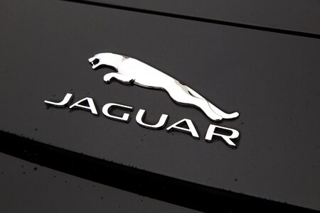 Black silver emblem