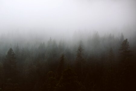 Fog mist murky photo