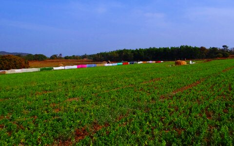Crop saree fencing india