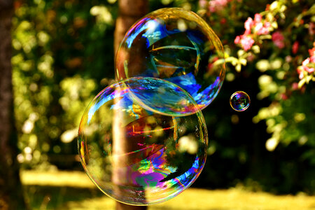 Large Soap Bubbles photo
